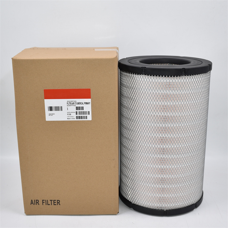 P619046 فلتر الهواء RS30130