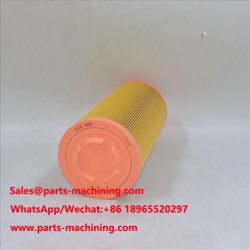 فلتر الهواء 01319257 1319257 P778989 SA 17100 46836
