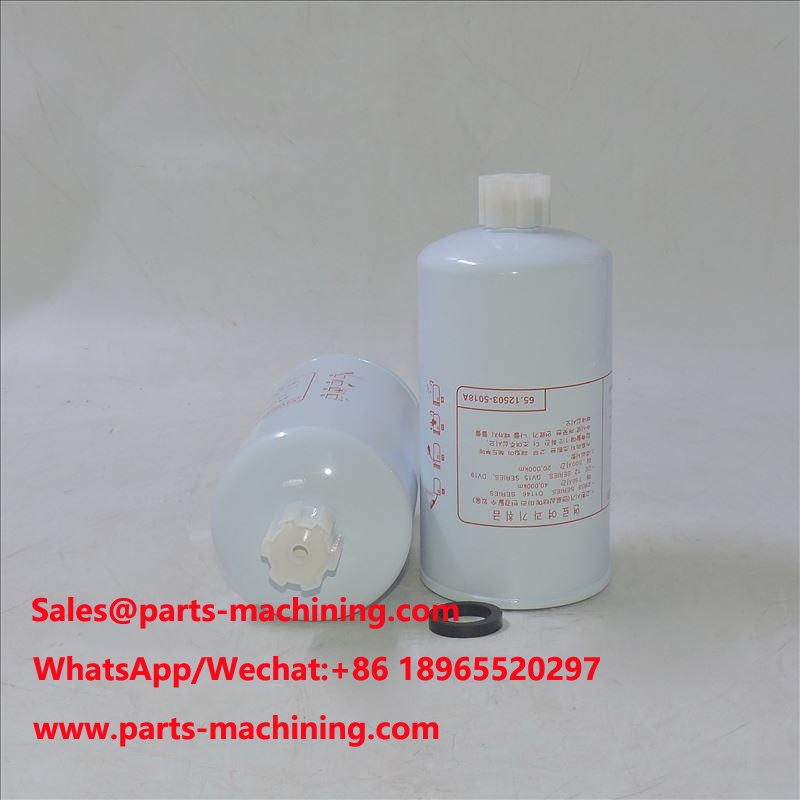 فلتر الوقود 65 . 12503-5018A SN 1212 P558000 FS1214
