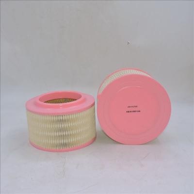 فلتر الهواء AB39-9601AB P506075 WA9763 E1205L
