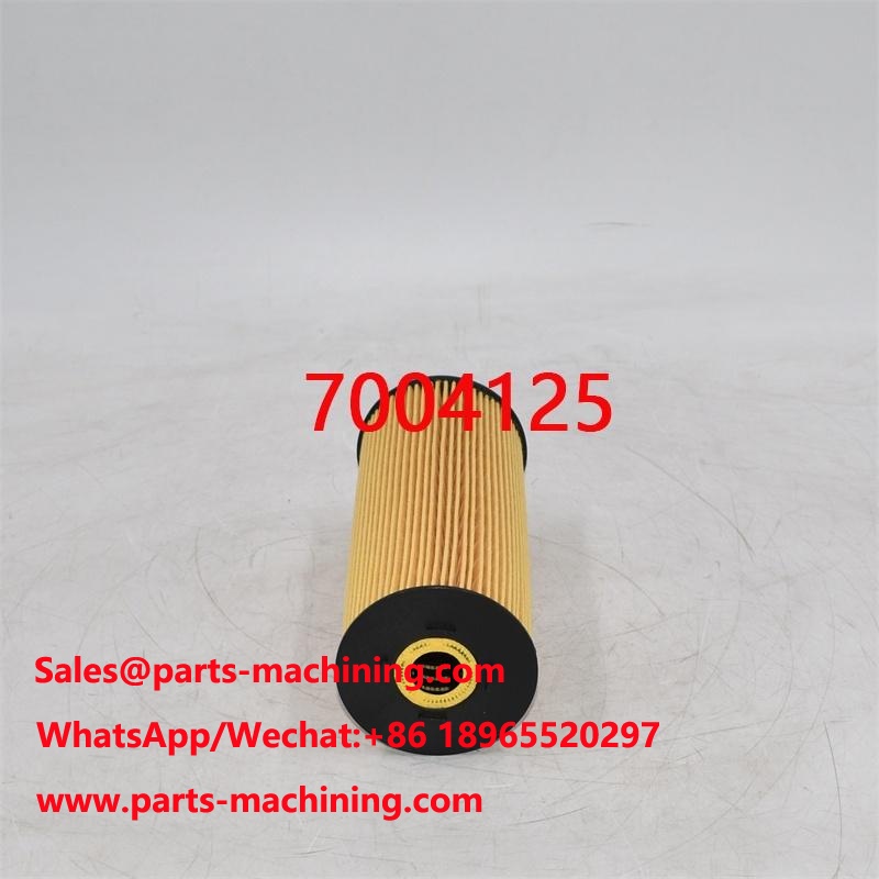 7004125 فلتر زيت 560282808 للرافعة المتنقلة