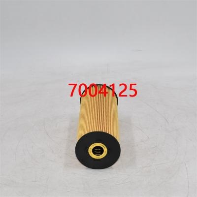 7004125 فلتر زيت 560282808 للرافعة المتنقلة