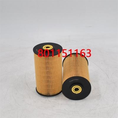 801151163 فلتر الوقود 3I-1212 للحافلات