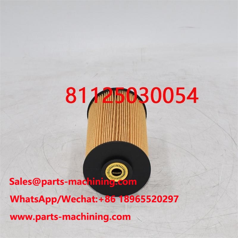 فلتر الوقود 81125030054 81125030018