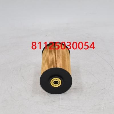 فلتر الوقود 81125030054 81125030018