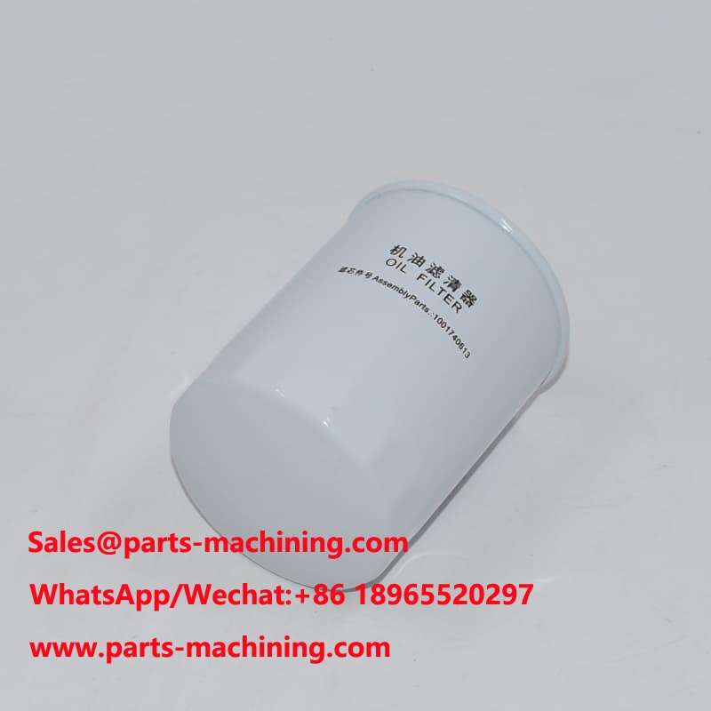 فلتر الزيت الأصلي 1001740613